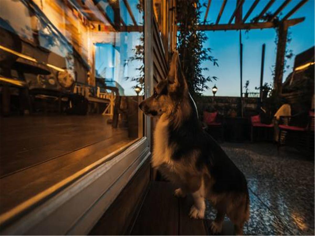 Zerg Backpackers Youth Hostel 西安市 エクステリア 写真
